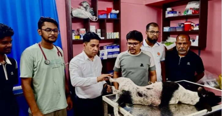 বগুড়ায় কুকুর নির্যাতনের অভিযোগে ব্যবসায়ীর বিরুদ্ধে মামলা