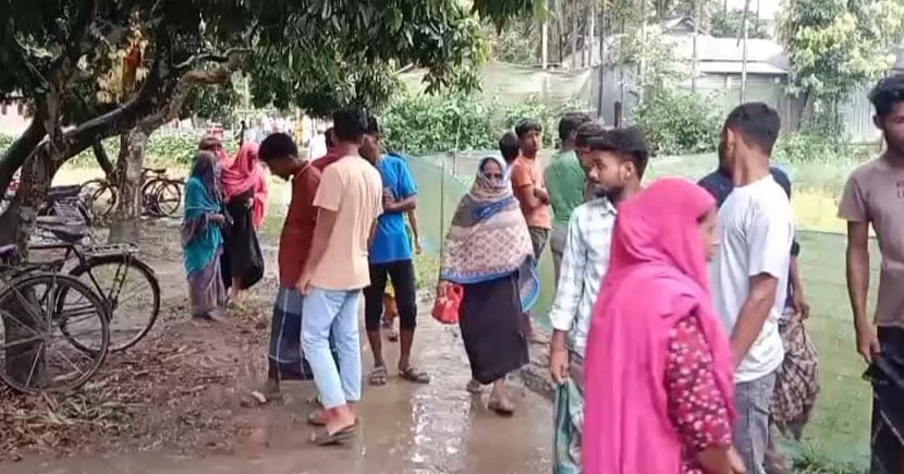 গরু বাঁচাতে গিয়ে  বিদ্যুৎস্পৃষ্টে মা-ছেলে নিহত