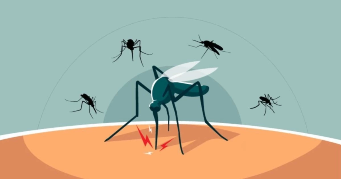 দেশে ২৪ ঘণ্টায় ডেঙ্গুতে আক্রান্ত ৪৮