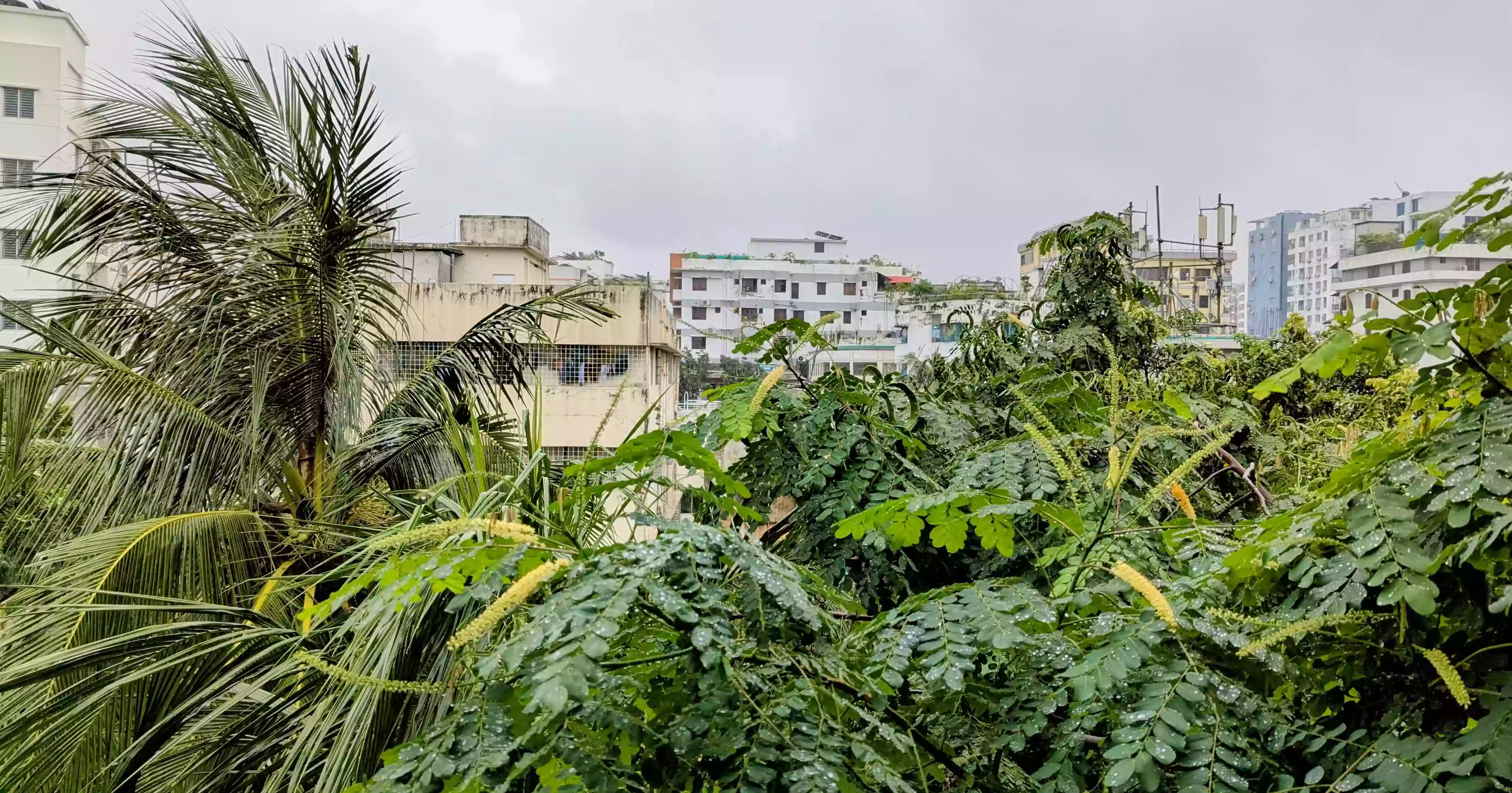 ঢাকার বায়ুদূষণে আজ বৃষ্টির প্রভাব