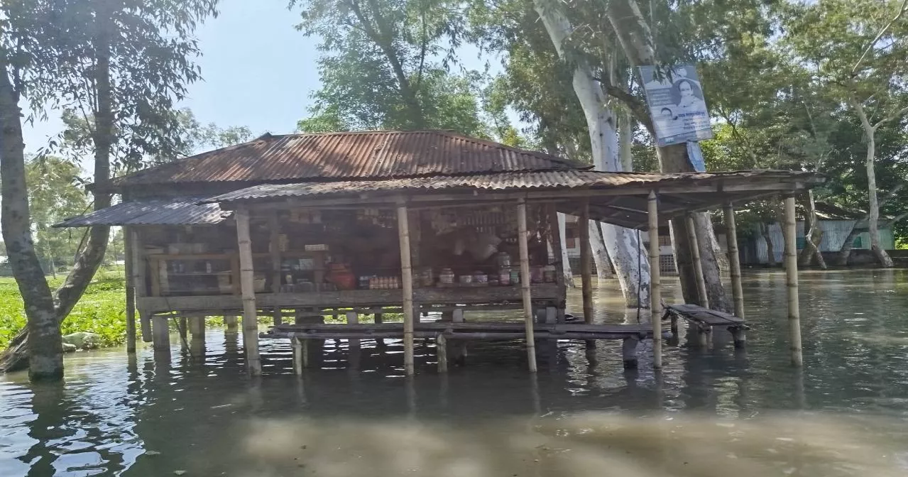 উজানের ঢলে পানি বাড়ছে তিস্তায়, লালমনিরহাটের নিচু এলাকায় প্লাবিত