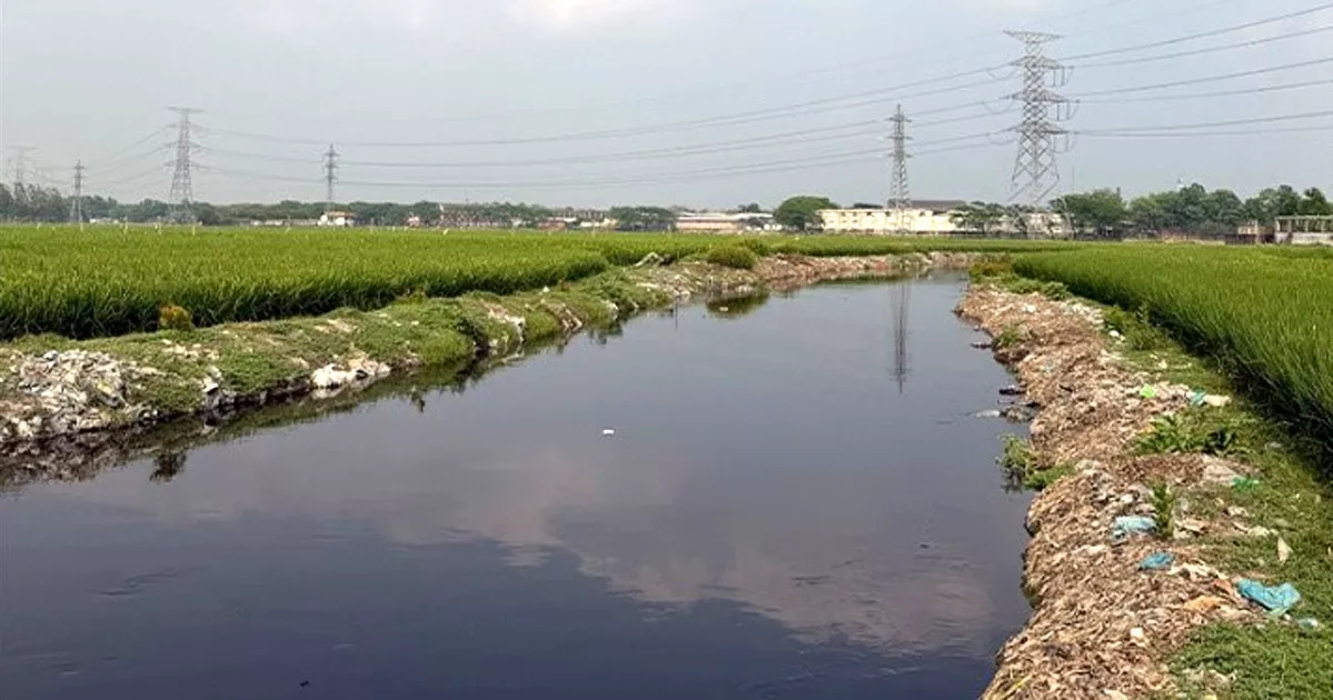দখলে-দূষণে নিখোঁজ লবণদহ নদ