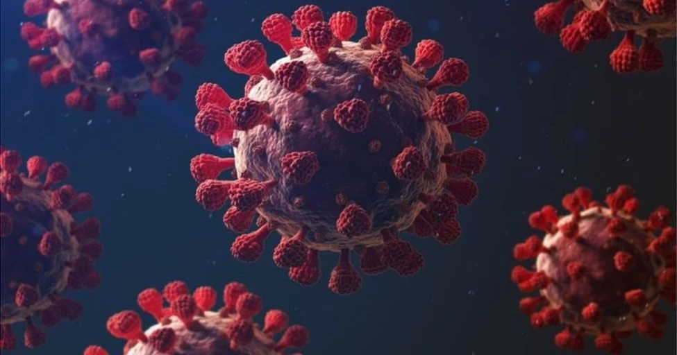 দেশে করোনায় আরও একজনের মৃত্যু