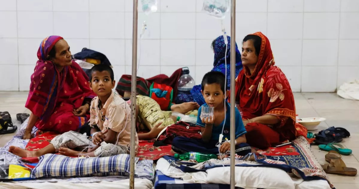 দেশে ডেঙ্গুতে আক্রান্ত আরও ১১