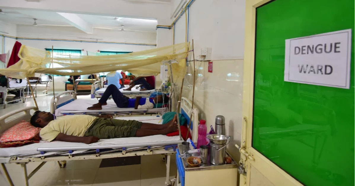 দেশে ডেঙ্গুতে আক্রান্ত আরও ৬