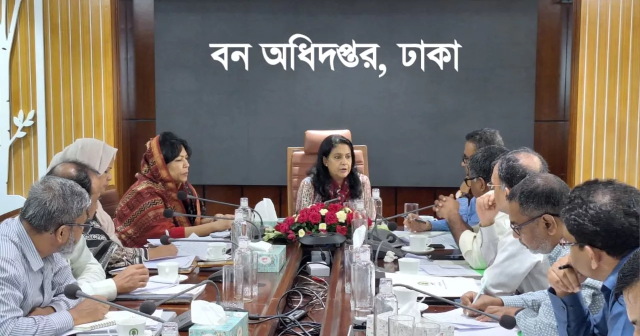 মূল ভূখণ্ডের ২০ শতাংশে উন্নীত করা হবে বনভূমি: পরিবেশ উপদেষ্টা