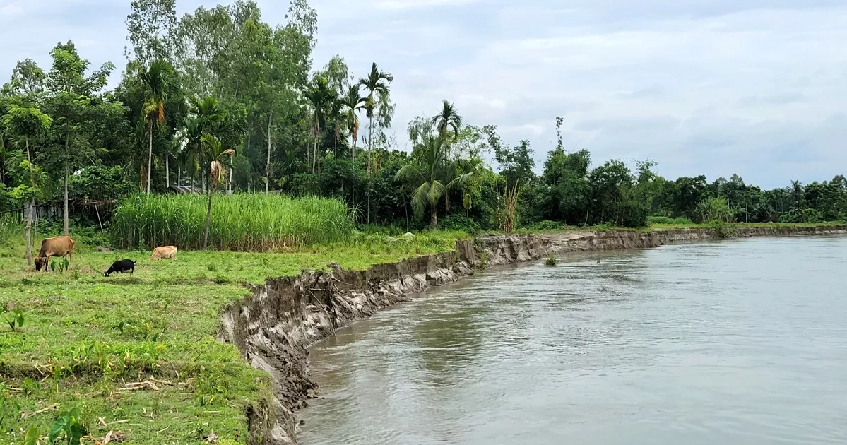 ধরলার ভাঙনে নিঃস্ব অর্ধশতাধিক, ঝুঁকিতে আরও পাঁচ শতাধিক পরিবার