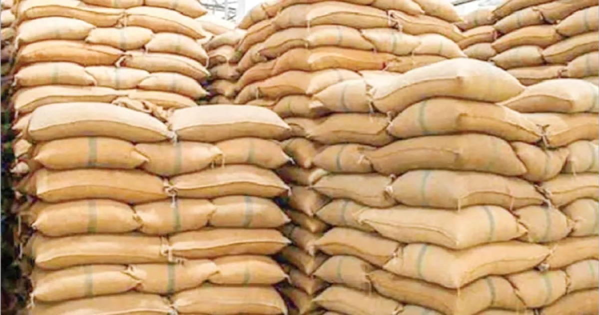 সরকারি গুদামে রেকর্ড মজুত, বোরোতে সর্বোচ্চ ধান-চাল সংগ্রহের আশা