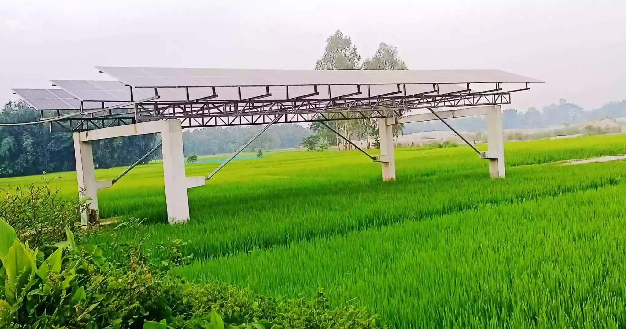 রংপুরের কৃষিতে সৌর বিপ্লব, মৌসুমে সাশ্রয় ৭৫ লাখ লিটার ডিজেল