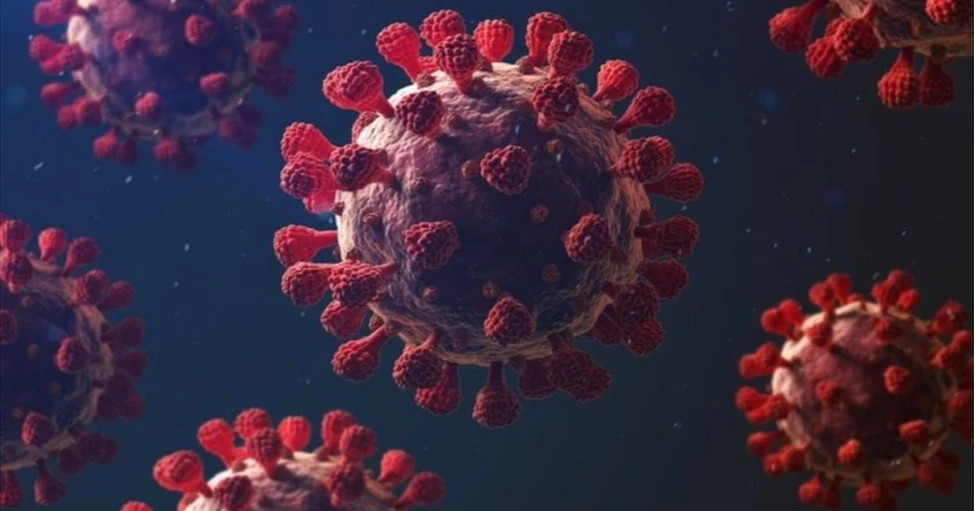 করোনা: দেশে আরও একজনের মৃত্যু, শনাক্ত ১০