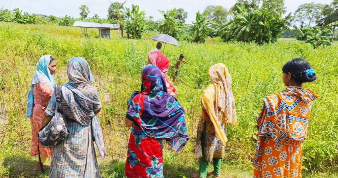 নড়াইলে তিলখেতে মিলল মানুষের কঙ্কাল
