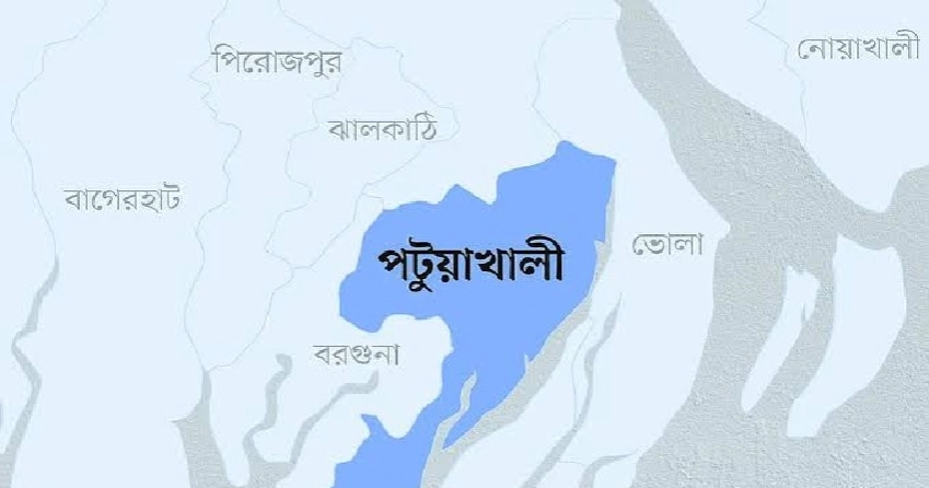পটুয়াখালীতে বিষমিশ্রিত ঘাস খেয়ে ২৫ মহিষ অসুস্থ, ৩টির মৃত্যু