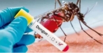 ডেঙ্গুতে আরও তিনজনের মৃত্যু, হাসপাতালে ভর্তি ৩৩১