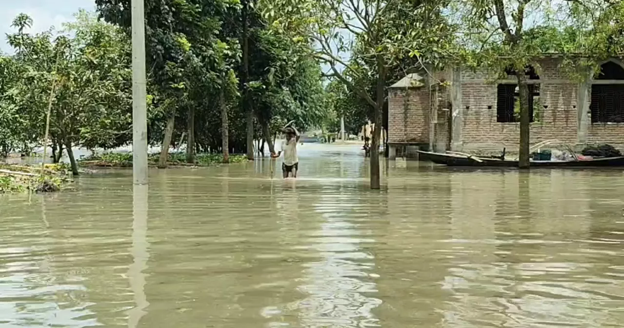 চাঁপাইয়ে পদ্মার পানি কমছে, তবুও নিম্নাঞ্চলে জলাবদ্ধতা