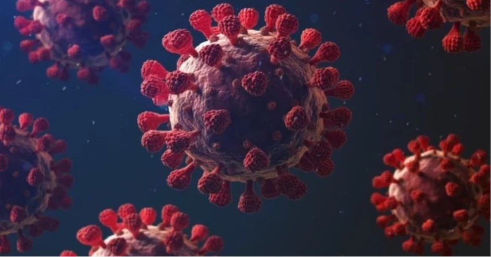 দেশে ২৪ ঘণ্টায় ১৪ জনের করোনা শনাক্ত