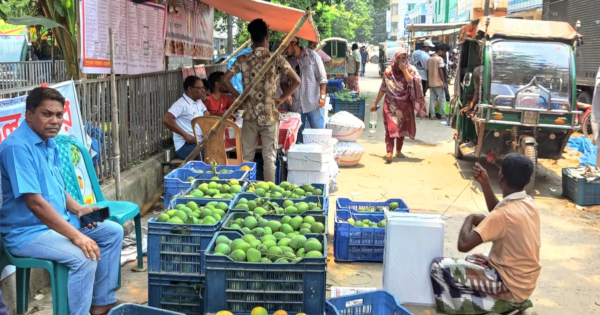 ঈদের পর চাঙা হচ্ছে চাঁপাইনবাবগঞ্জের আম বাজার
