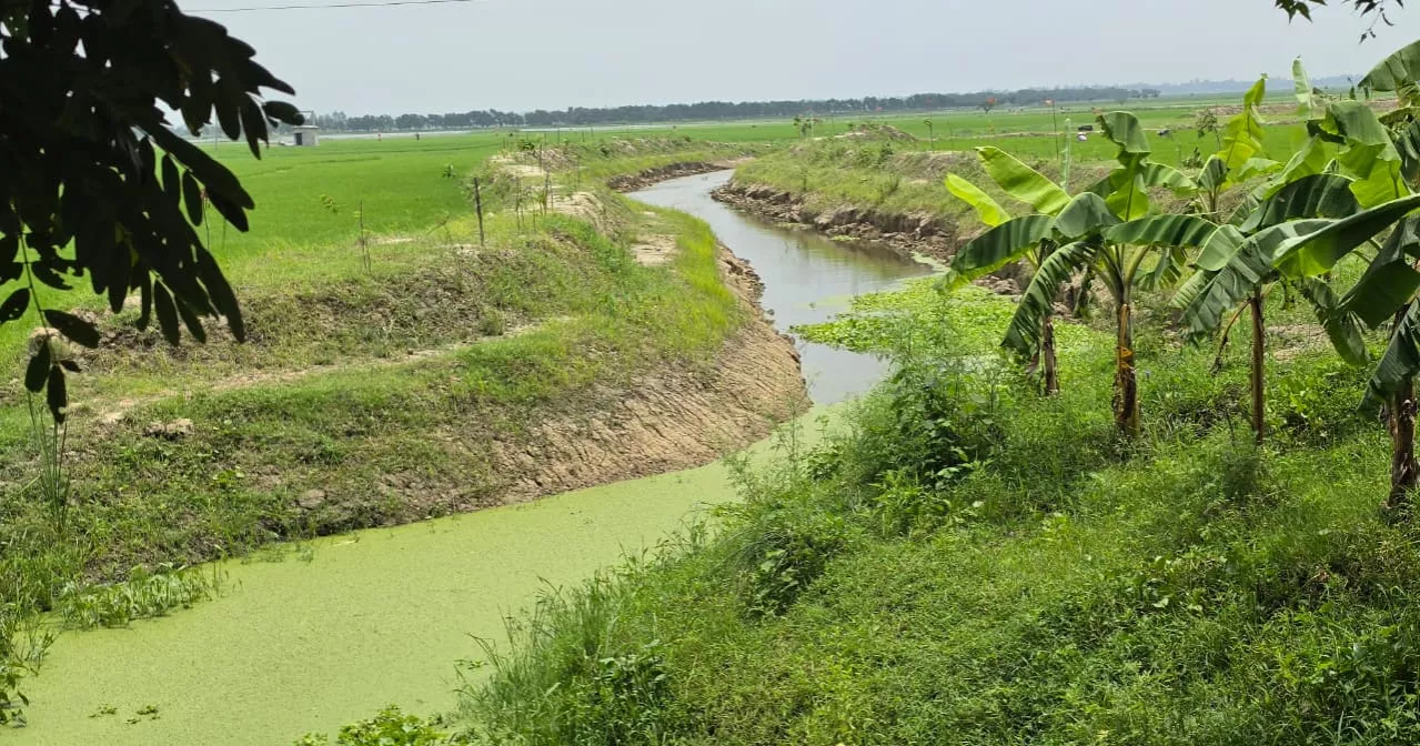মান্দায় খাল পুনঃখনন প্রকল্পের শ্রমিক মজুরির ৫০ লাখ টাকা নিয়ে প্রশ্ন