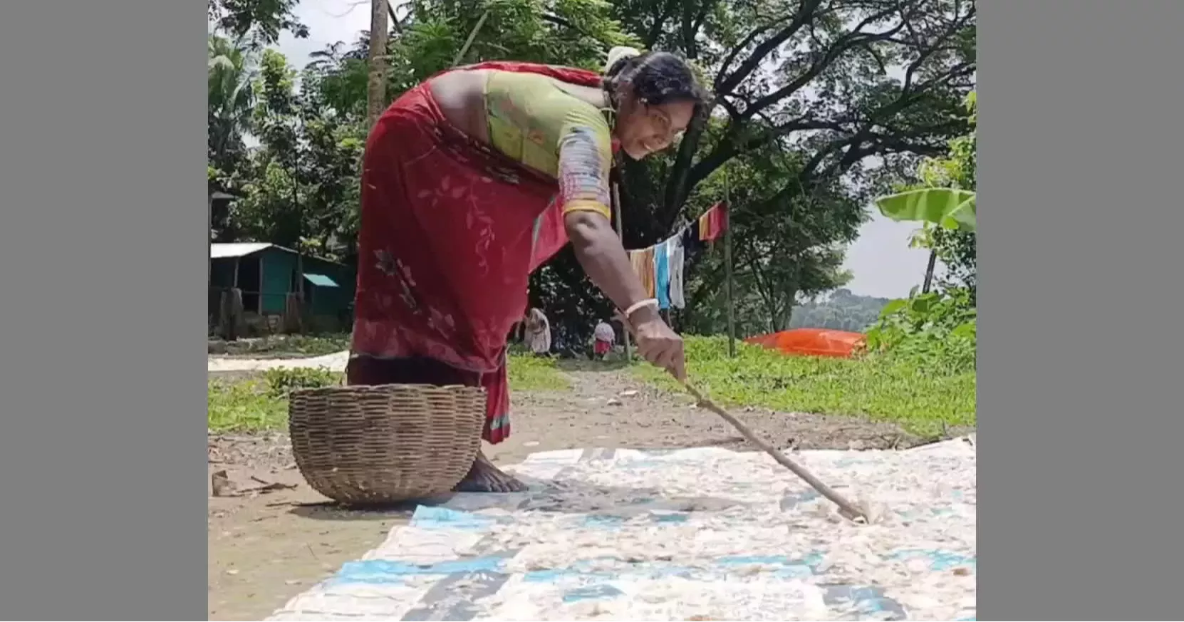 ফেলে দেওয়া মাছের আঁশেই বাড়তি টাকা গুনছে নড়াইলের জেলেরা