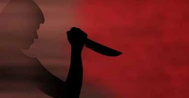 আ. লীগ নেতাকে ধরতে গিয়ে বটির কোপে এসআই আহত, পিতা-পুত্র আটক