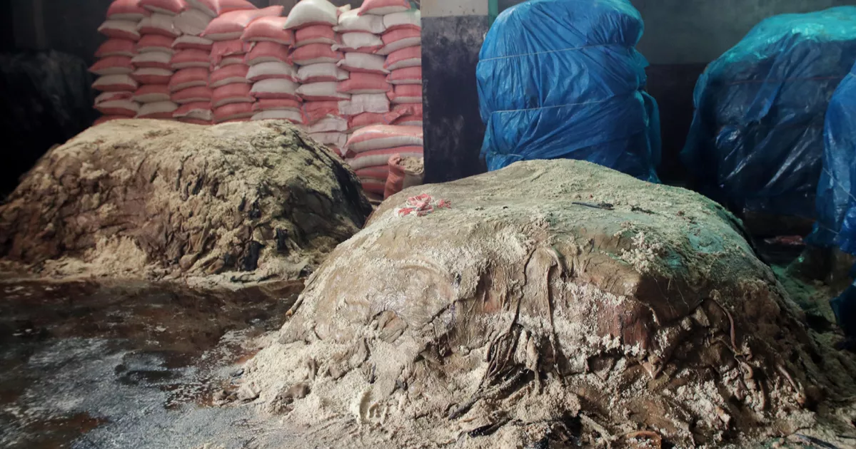 চামড়ার বাজারে এবারও হতাশা, গোড়ায় গলদ রেখে দাম নির্ধারণ