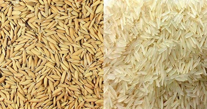 যশোরে ৬২ রাইস মিলের লাইসেন্স বাতিল