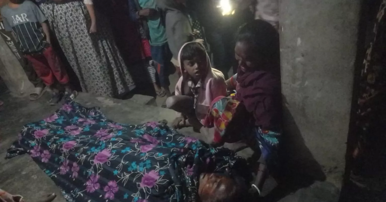 জীবননগরে সড়ক দুর্ঘটনায় নারী নিহত, আহত অন্তত ১৫