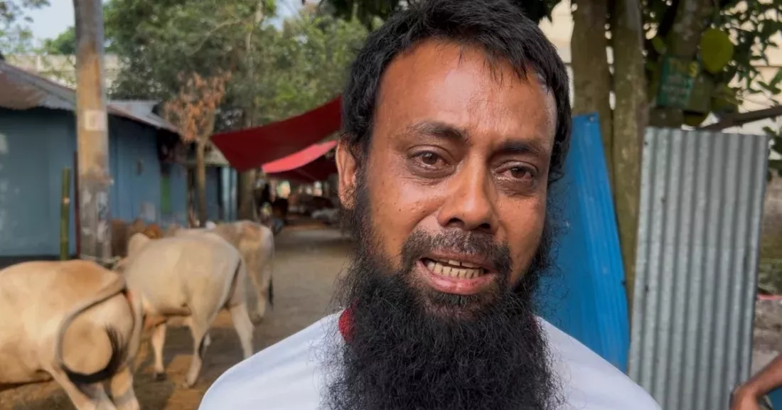 ফেনীতে অস্ত্রের মুখে ব্যবসায়ীর গরু ছিনতাই