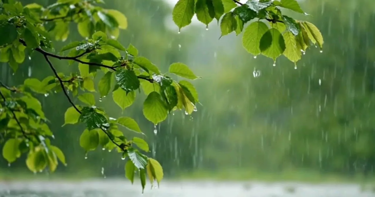 দেশে বর্ষাকাল শেষ হলেও অক্টোবরে কেন বৃষ্টি?