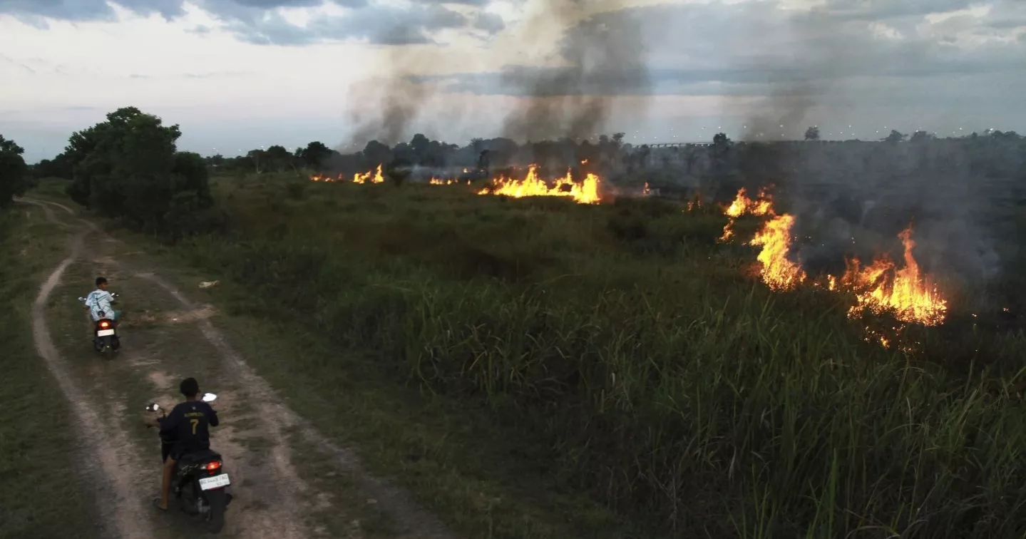 বনে আগুন লাগানোর অভিযোগে ইন্দোনেশিয়ায় গ্রেপ্তার ৪৪