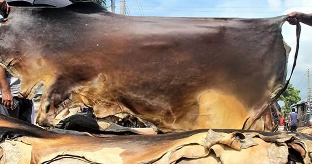 খুলনা বিভাগে ৩ লাখ ২৬ হাজার ৭৯৪টি কোরবানির চামড়া সংরক্ষণ