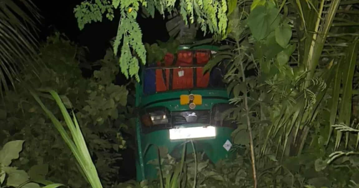 কুষ্টিয়ায় শিয়ালের সঙ্গে সিএনজির ধাক্কায় এক নারী নিহত