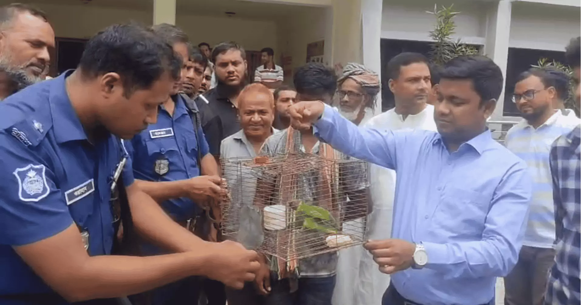 চাঁপাইনবাবগঞ্জে পাখি শিকারের দায়ে যুবককে জরিমানা, টিয়া পাখি অবমুক্ত