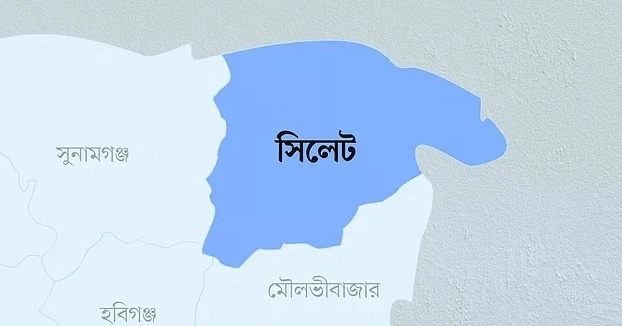 সিলেটে বিএনপির তিন প্রবাসী প্রার্থীর জয়
