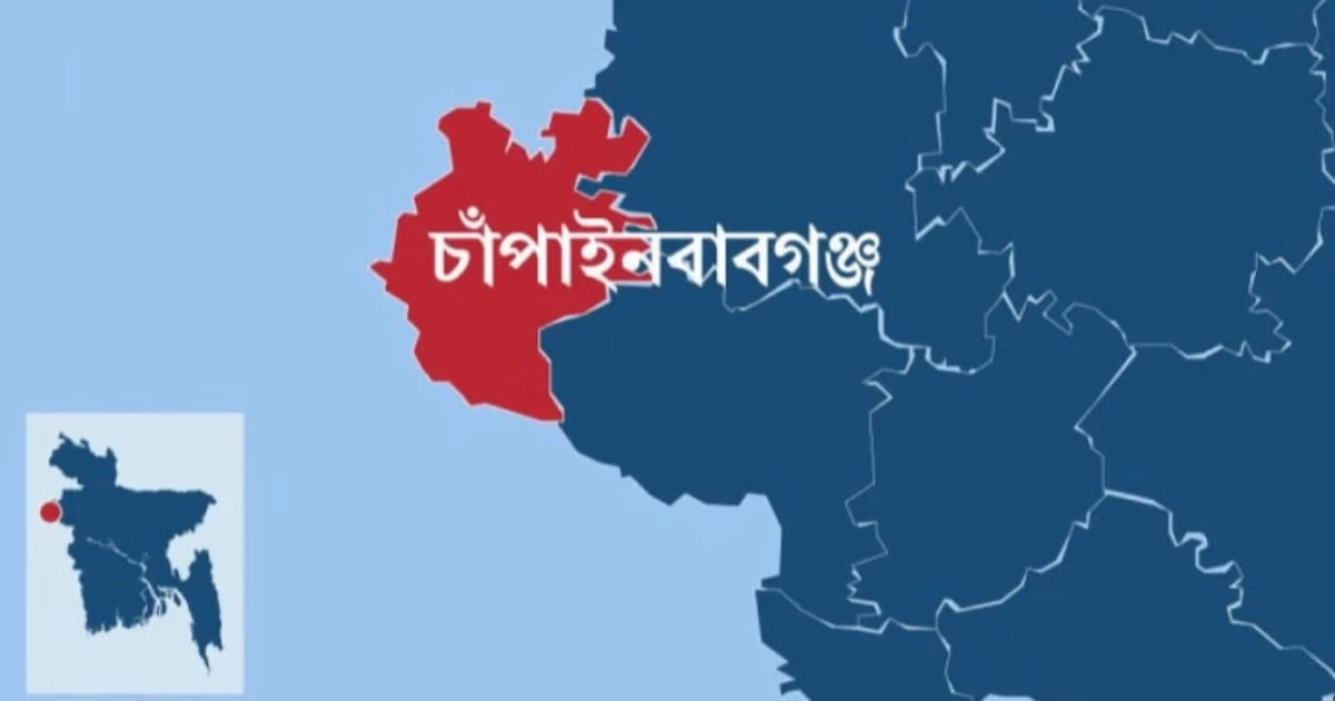 পদ্মায় নৌকাডুবি, ১০ বাংলাদেশিকে উদ্ধারের পর নিয়ে গেছে বিএসএফ