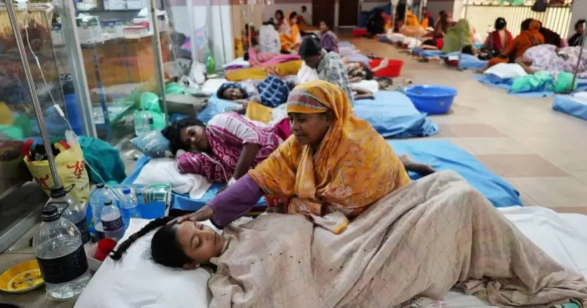 ডেঙ্গুতে ২৪ ঘণ্টায় ১০ মৃত্যু, হাসপাতালে ১,৯৯৬