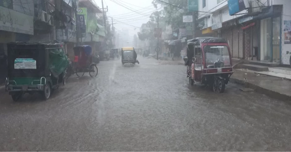 বাগেরহাটে কৃষির জন্য আশীর্বাদ হয়ে এসেছে বৃষ্টি