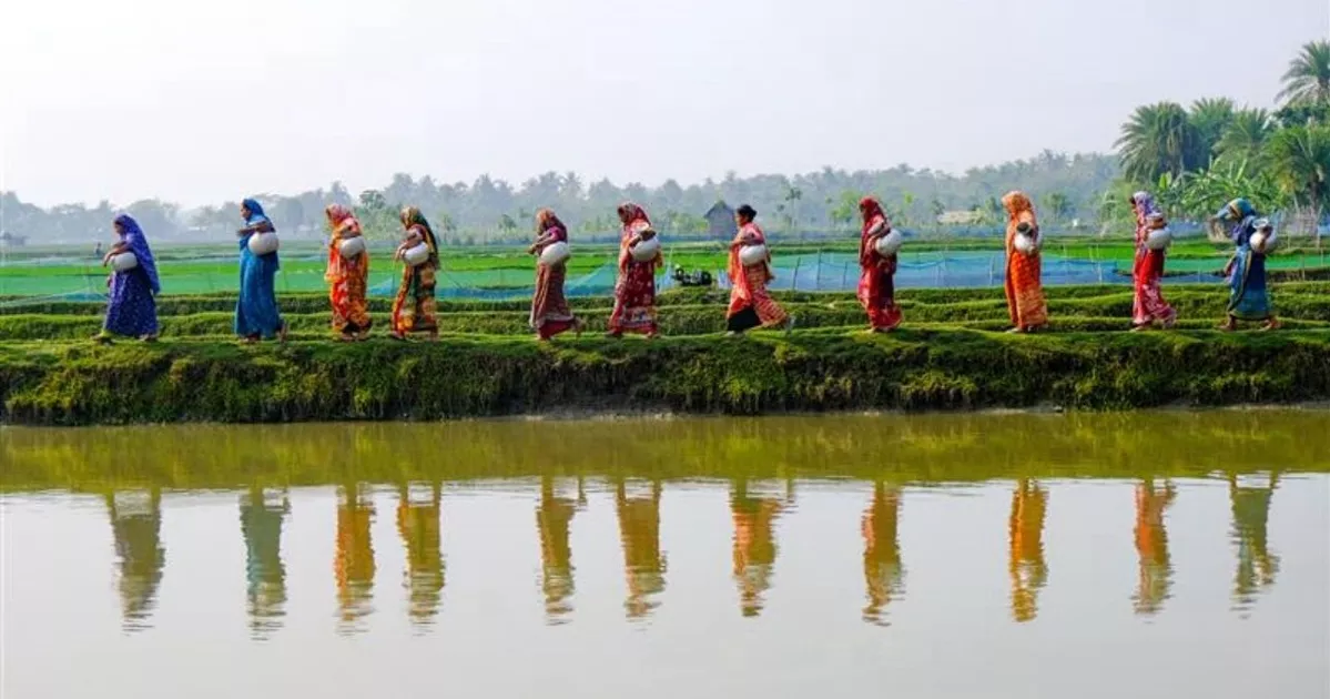 উপকূলীয় অঞ্চলে ক্রমেই বাড়ছে সুপেয় পানির জন্য হাহাকার, আশা জাগাচ্ছে বৃষ্টির পানি