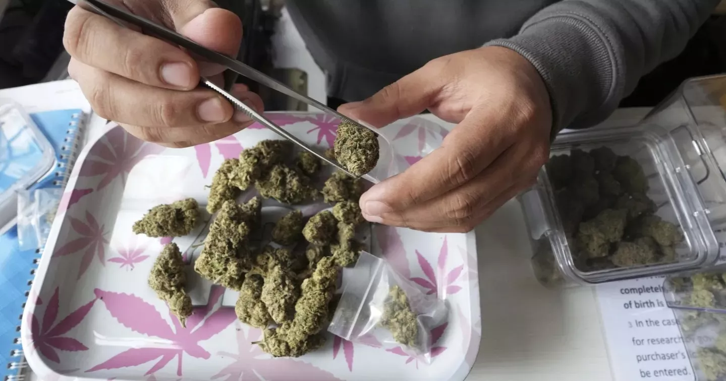 থাইল্যান্ডে গাঁজা কিনতে লাগবে প্রেসক্রিপসন!