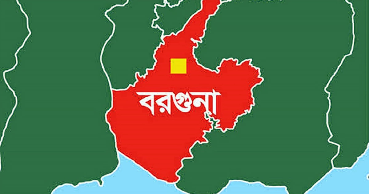 বরগুনা-১-এ হাতপাখা ও বরগুনা-২-এ ধানের শীষের বিজয়