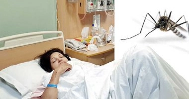 ডেঙ্গুতে দেশে আরও ৯০ জন আক্রান্ত