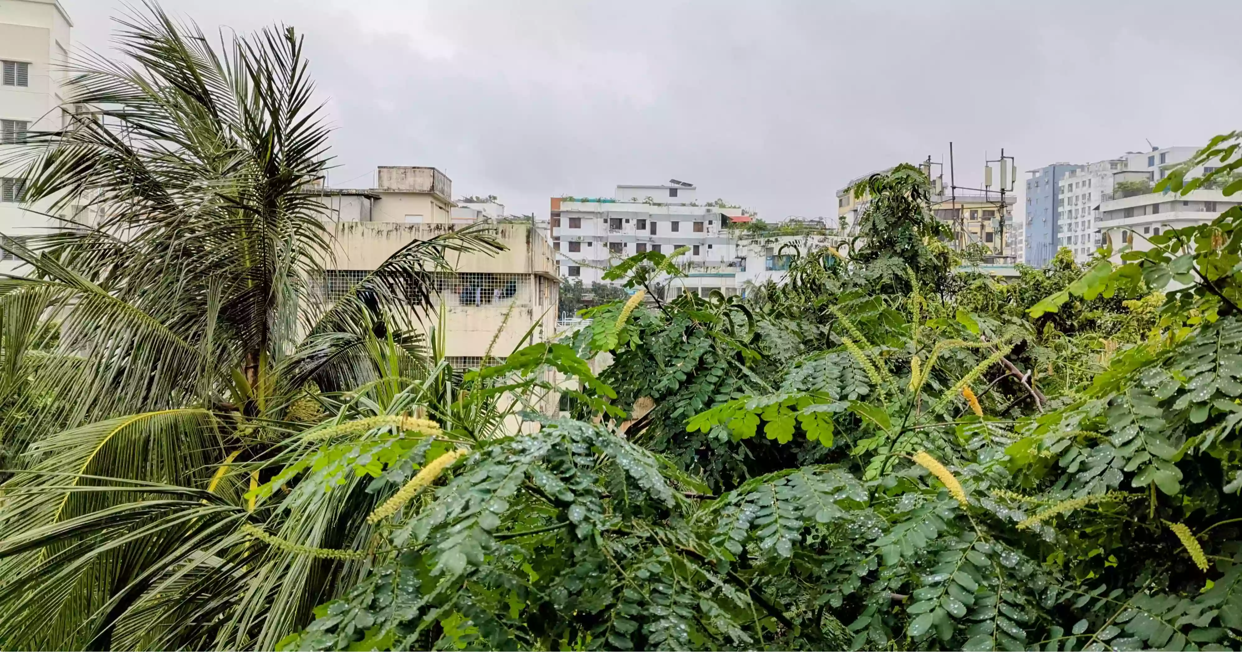 লন্ডন, ওয়াশিংটনের চেয়ে আজ ঢাকার বাতাস স্বাস্থ্যকর