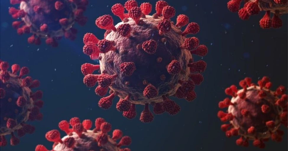 সিলেটে ২৪ ঘণ্টায় আরও দুইজনের করোনা শনাক্ত