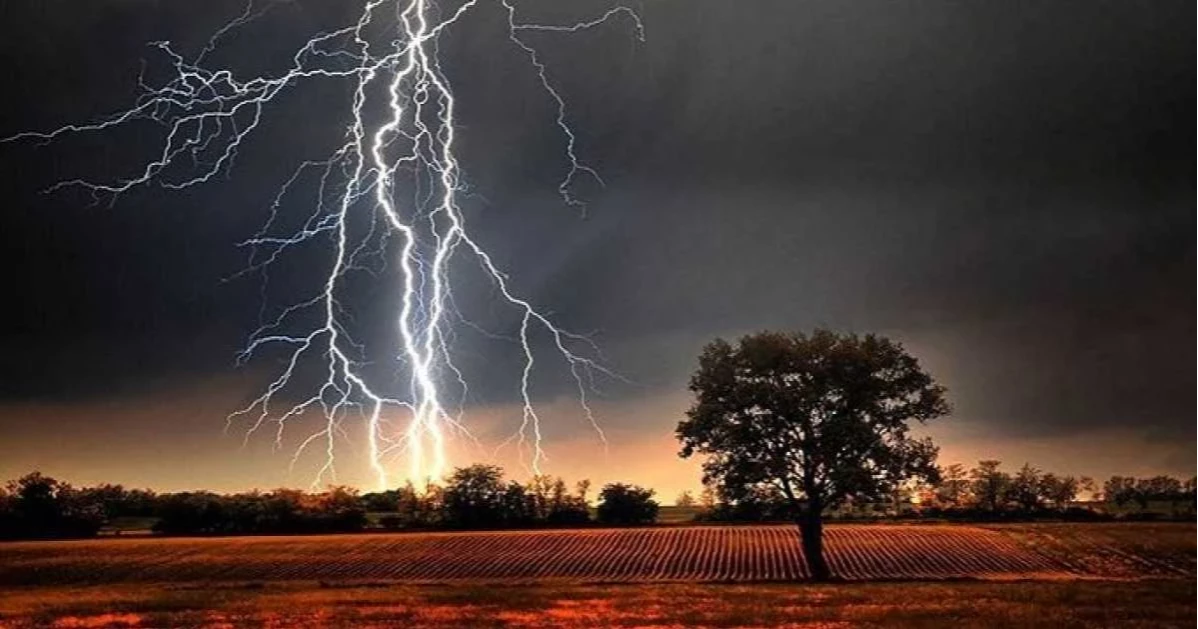 নড়াইলে বজ্রপাতে মাদরাসাছাত্র নিহত, আহত ৩