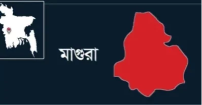 মাগুরায় যৌতুকের দাবিতে স্ত্রীকে পিটিয়ে হত্যার অভিযোগ, স্বামী পলাতক