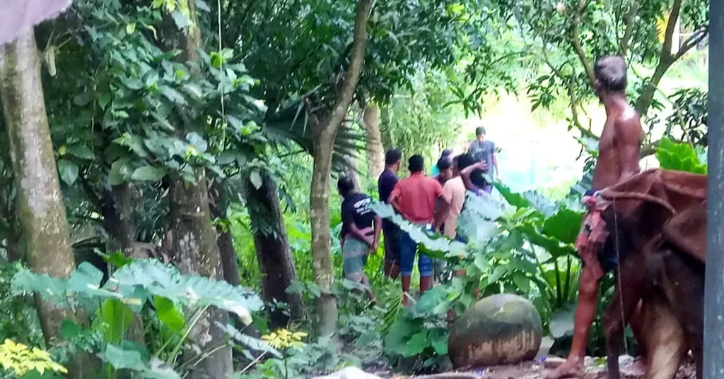 ফরিদপুরে পাট শুকানো নিয়ে দুইপক্ষের সংঘর্ষে নারীসহ আহত ২০