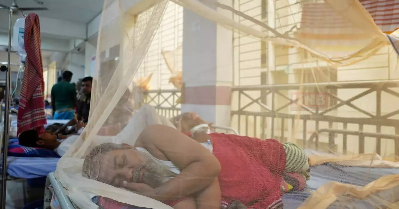 ডেঙ্গুতে ২৪ ঘণ্টায় ২ মৃত্যু, হাসপাতালে ৯৫৫