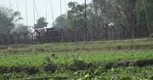 সিলেট সীমান্তে বিএসএফের গুলি, বিজিবির পাল্টা ফায়ার