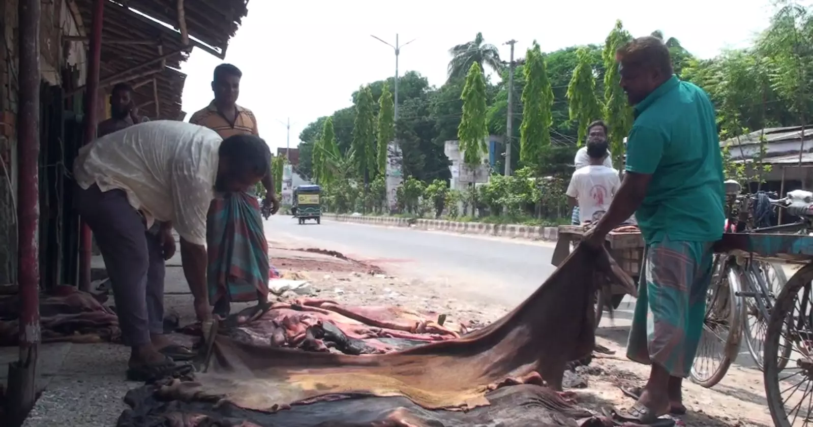 দেশের দ্বিতীয় বৃহত্তম কাঁচা চামড়ার বাজারে চামড়া সংগ্রহ শুরু