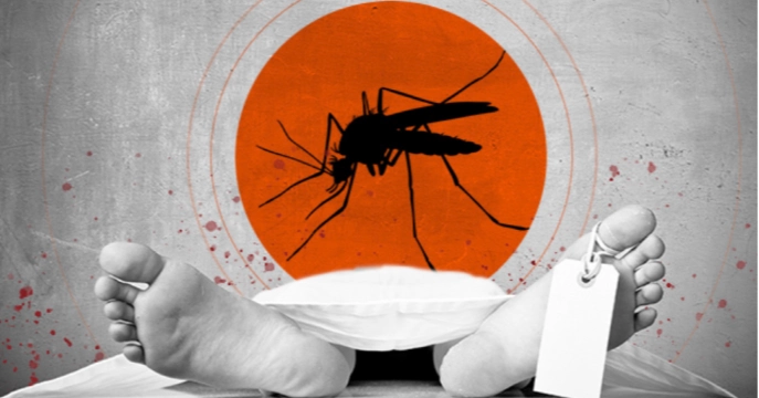 ২৪ ঘণ্টায় ডেঙ্গুতে মৃত্যু ১, হাসপাতালে ৪৫