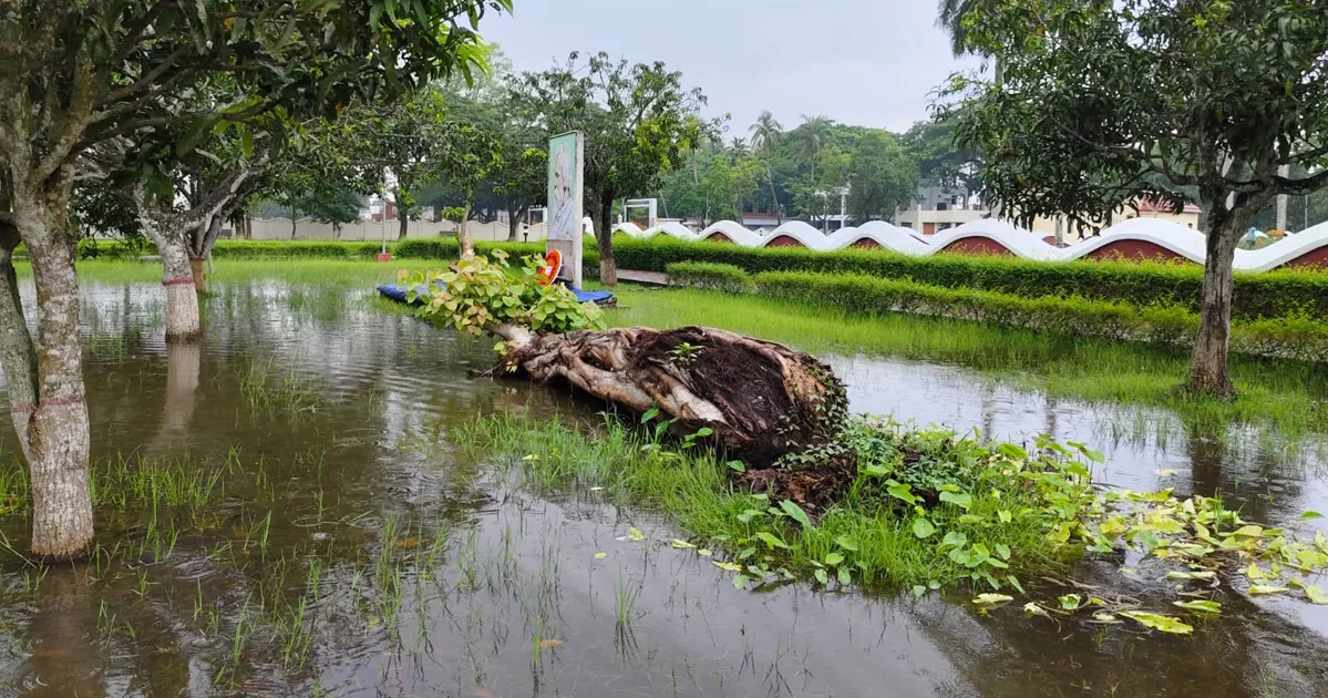 শিলাইদহে রবীন্দ্র কুঠিবাড়িতে থৈ থৈ করছে পানি